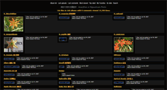 Desktop Screenshot of amaryllises.plant-seeds.idv.tw
